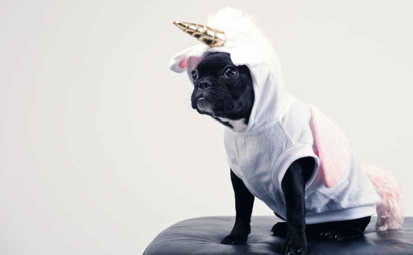 Why VCs are obsessed with Unicorn companies? (HINT: let’s do the math&nbsp;together)